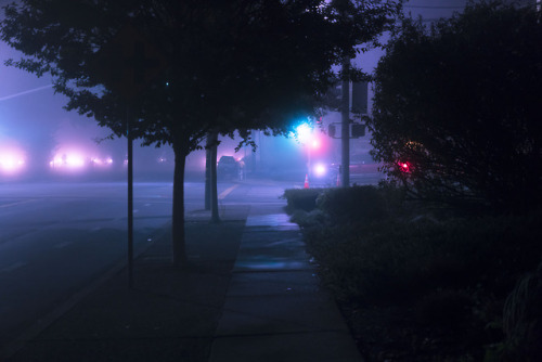 anthony-samaniego:fog report