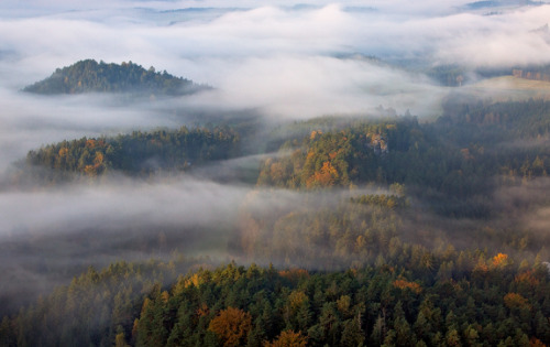 nubbsgalore:  an autumn fog moving through the forest. photos by (click pic) stefano baglioni, long bach nguyen, ivaylo ivanov, františek hanc, rafael kos, marin rak and paolo bolla