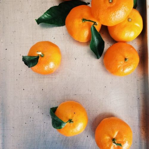 triponbroknbeats:oranges