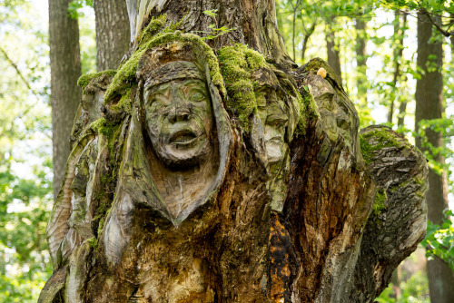 lamus-dworski:Wooden sculptures in “Galindia”, Iznota, Poland.Photos © Szymon Gryko.