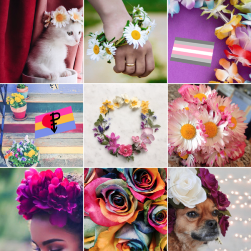 plentymood: Panromantic demigirl + flowers moodboard (img source: x) Like my moodboards? Request One