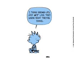 gravitazero:  nevver:.  Calvin and Hobbes