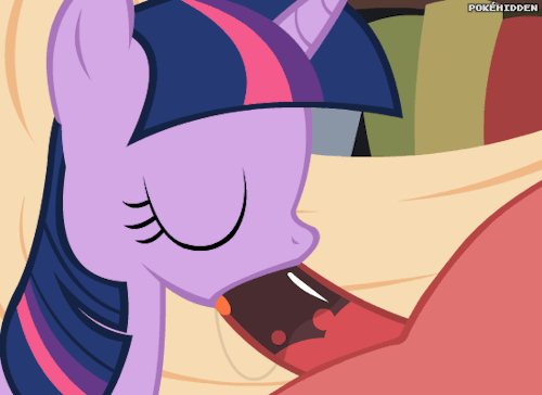 filly-funtasia:  The Daily Clop #64 Gif Special # 2!