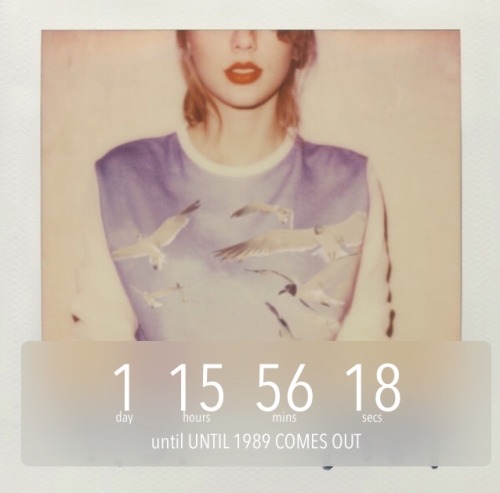 screamingiminlovewithyou:I’m ok