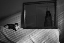 dissolvedtool:  Girl with the cat …3 