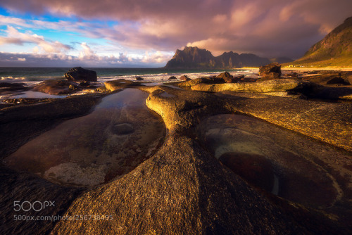 Golden Evening in Northern Norway by Daniel-Fleischhacker