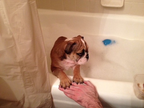 I love bath time!