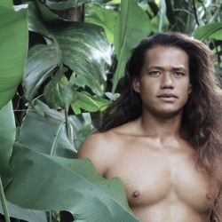 menofpolynesia:  