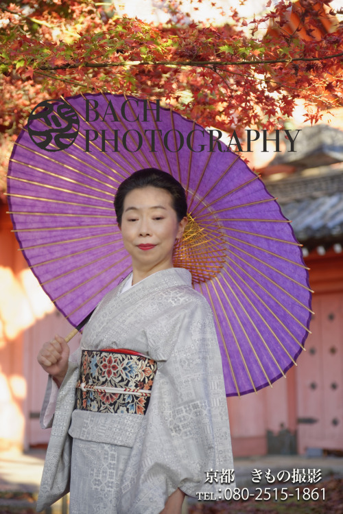 bach-photography:卒業式、成人式、結婚式　人生にはいろいろな節目があります。街中を歩いていて目にする和装の出立ち。借り物ではなく「自分の着物」に袖を通すのが粋だと感じます。祖母から母へ