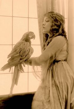 maudelynn:  Mary Pickford and a feathered