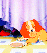 lovelydisneys:  “Ah, but remember, my friends. Even Tramp has his Achilles heel.” 