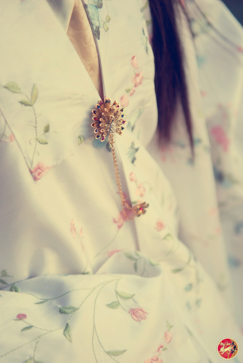 ziseviolet:Traditional Chinese hanfu - pifeng &amp; brooch.