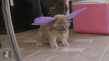 callm3princess:  