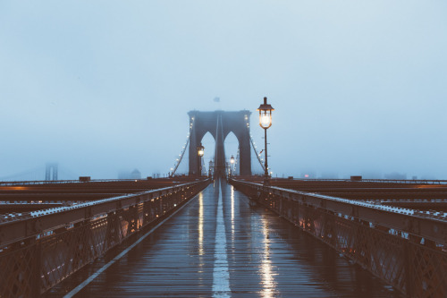 gabrielrobertflores:  rainy mornings