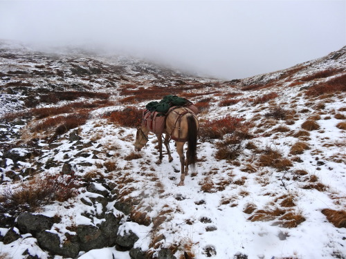 horseback riding