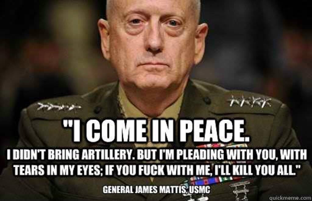 southernsideofme:Mad Dog Mattis - Secretary of Defense Please  So glad he&rsquo;s