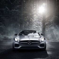 drivingbenzes:  Mercedes-Benz AMG GT (Instagram @bernooo)
