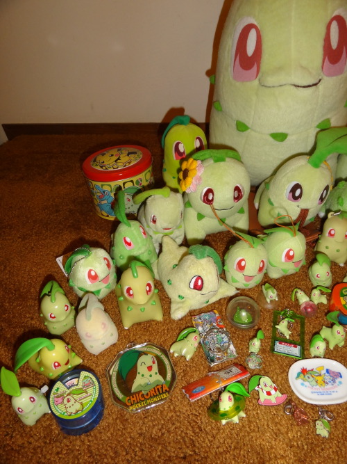 Porn Pics pokescans:  The Chikorita (and family) shelf