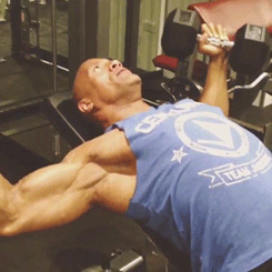 michelle-my-belle:   The Rock yelling FOCUS because I said so 