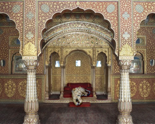 fer1972:  Felines in Temples by Karen Knorr