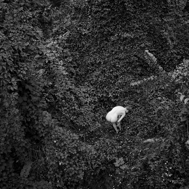“How much has to be explored and discarded before reaching the naked flesh of feeling” “How much has to be explored and discarded before reaching the naked flesh of feeling”