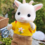 teensycritter