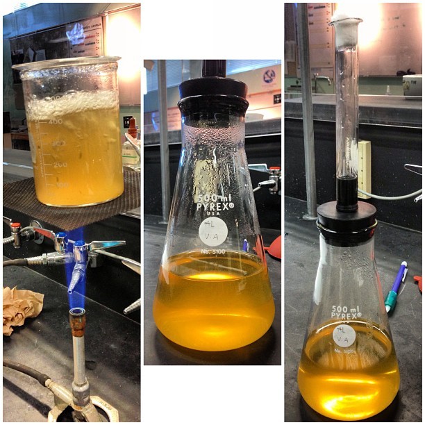 Zymurgy Lab aka Brewing beer in Chemistry! 😎🍺🍻 (at Ventura College SCI Building)