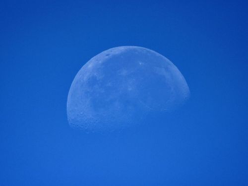 月齢20.2 蝉の鳴き声が響く 西の空に沈む 真夏のお月様です #月 #moon #有明の月 #蝉の鳴き声#蝉の声#真夏日 #夏の空(Osaka) https://www.instagra