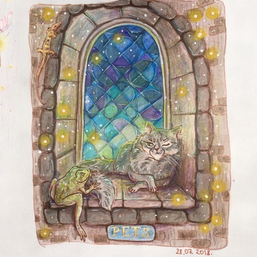 my cat Saoirse at Hogwarts for @taryndraws ’s Potter Week Prompts 