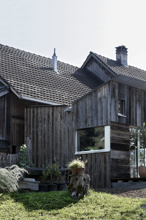 Schneider Türtscher - On Berg II, extension of an existing Barn, Mauren 2020. Photos © the arch