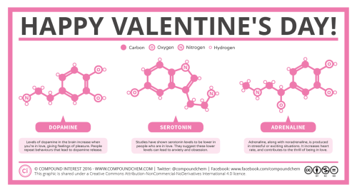 Happy Valentine’s Day! Happy Valentine’s Day everyone! Here’s a brief look at some