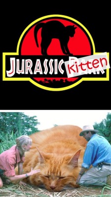 khloeaiheartu:  pr1nceshawn:  Jurassic Kitten.