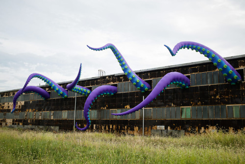 escapekit:  Sea Monsters HERE UK-based artists Filthy Luker and Pedro Estrellas have created twenty inflatable tentacles extended from the roof and several windows of a two-story warehouse in Philadelphia’s Navy Yard. The purple tentacles range from