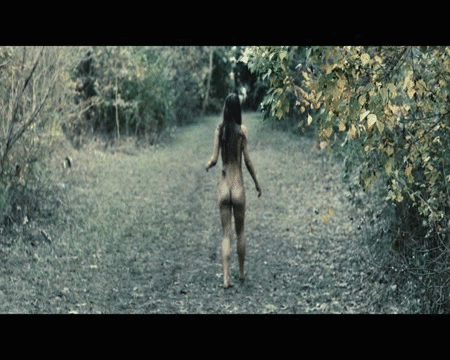 Sarah Butler. I Spit On Your Grave (2010, Steven R. Monroe).