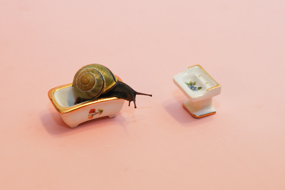 oliverthesnail:  Rub-a-dub-dub, a snail in the tub! 