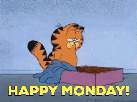 Happy Monday Eveybody