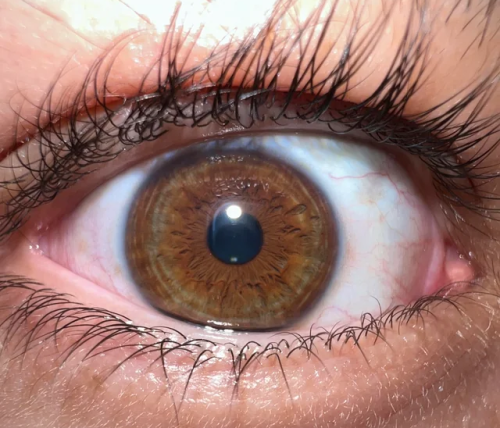 I Know Charlie Is Stated To Have Brown Eyes In The Book, But I Like To Imagine Mine Has Dark Hazel, Or