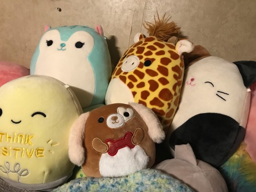 My Mom Went To Five Below A Couple Days Ago And Found These Guys!