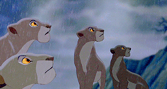disneyroyalty:  It is time. 