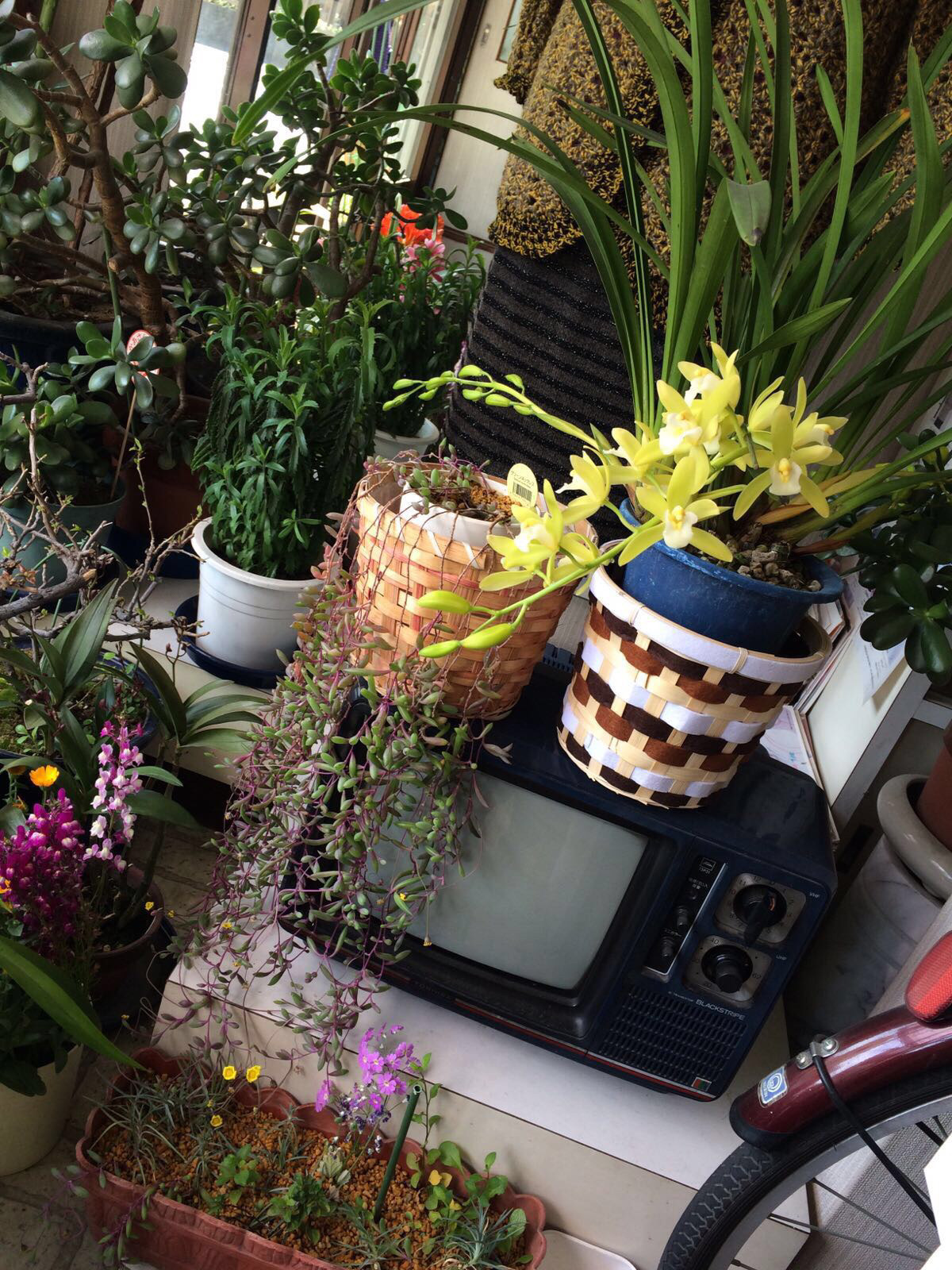生活利器 実寸 毛糸屋の花畑