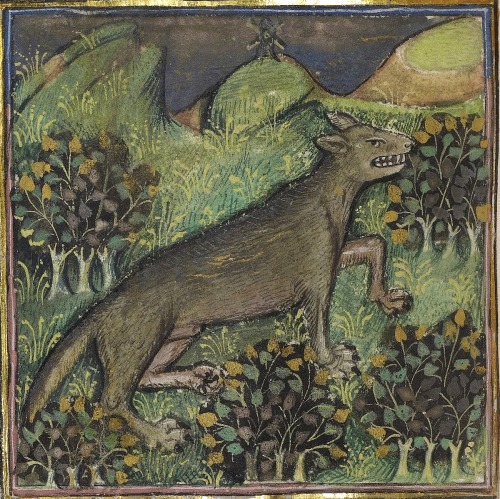 signorformica:“Wolf” Gaston Phoebus, Livre de la Chasse. Brittany ca. 1430-1440