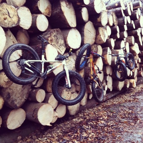 bikes-bridges-beer: Fat Bike come addobbi Natalizi. Nei boschi in zona Sormano. #fatbike#fat#bike#mt