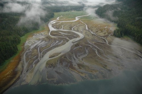 Braided Channel and DeltaThis photograph shows a sediment filled stream in northern Alaska. This is 