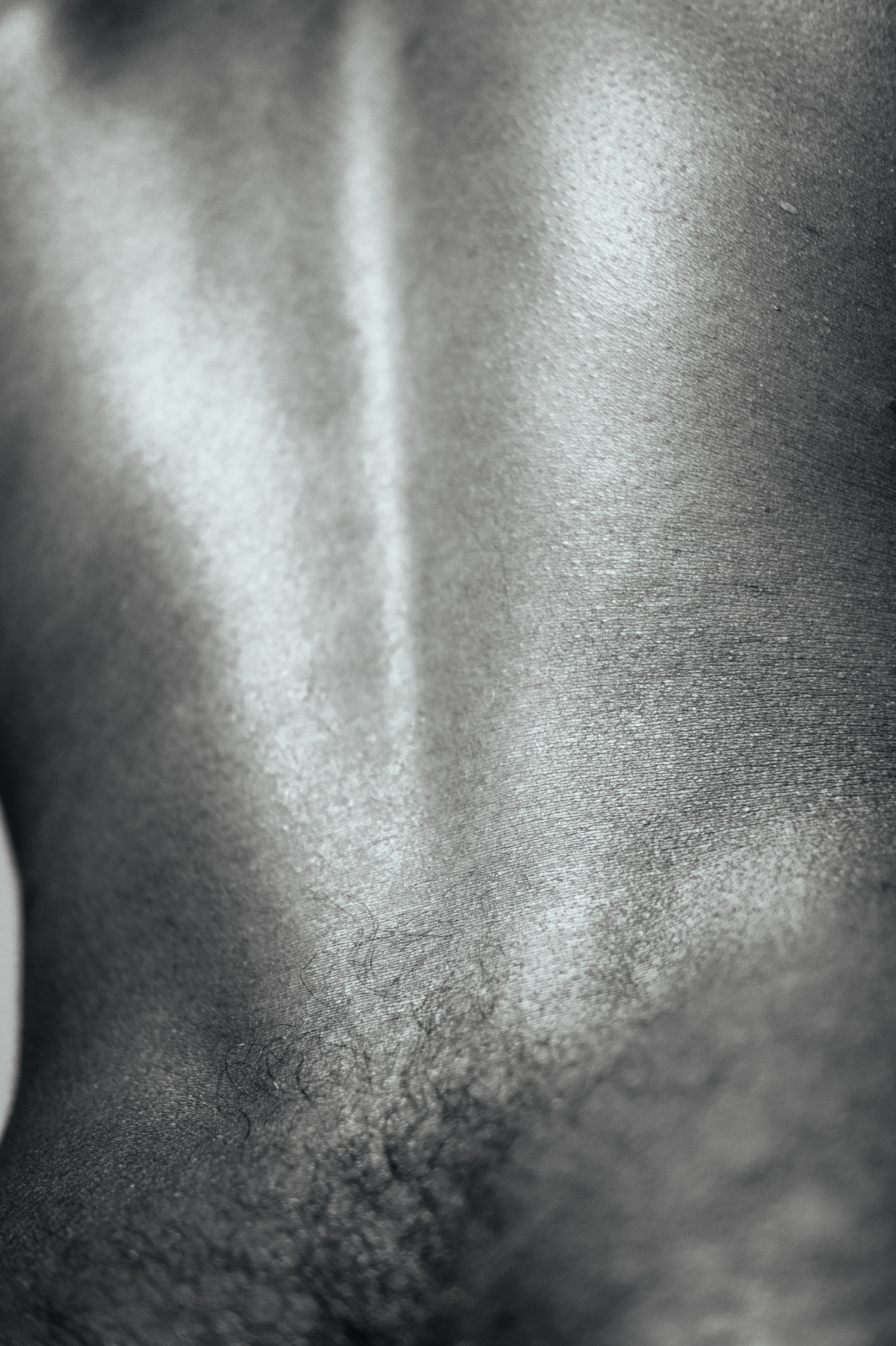 dapapabear:  These are some of the outtakes from my visual self study project (found