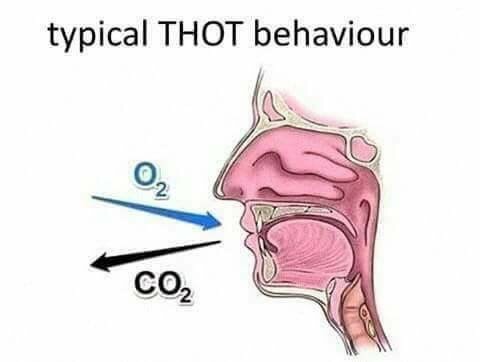 what the everloving fuck