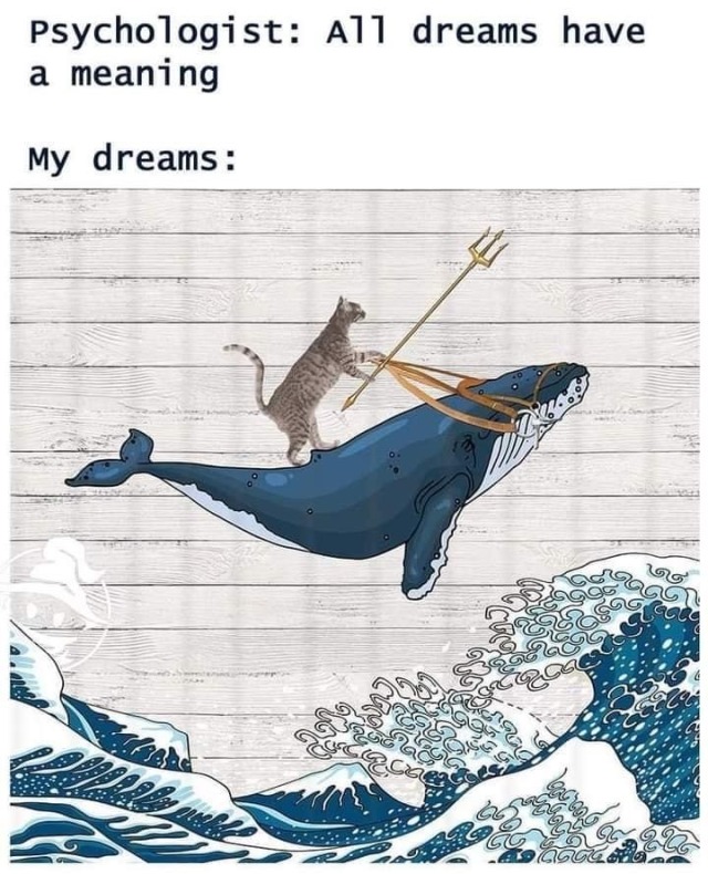 cat-memes-only: