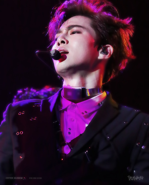 sjunmyeon:161202 // CottonBlossom (1, 2)
