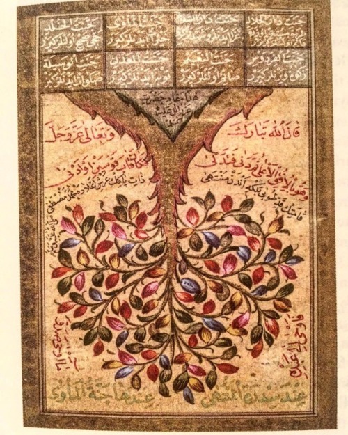 Inverted tree of bliss, rooted in invisible realms. Turkey, 18th century. “Follow your bliss. If you