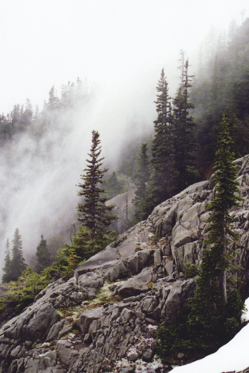 tearingdowndoors:  Untitled || Robin Mellway