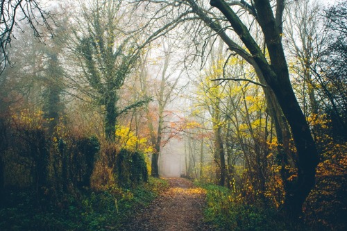 odbytea:  dpcphotography:  Weekend Walk 🍁🍂  xx